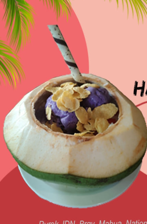 Family Halo-Halo