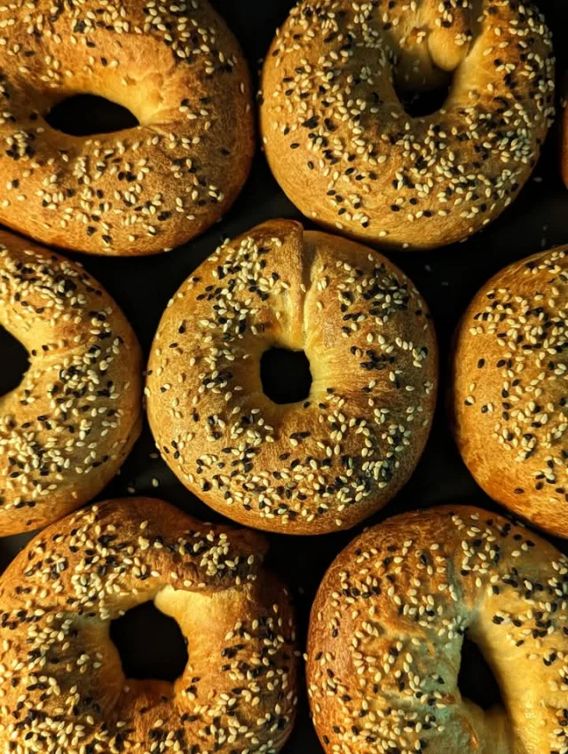 Sesame Bagel