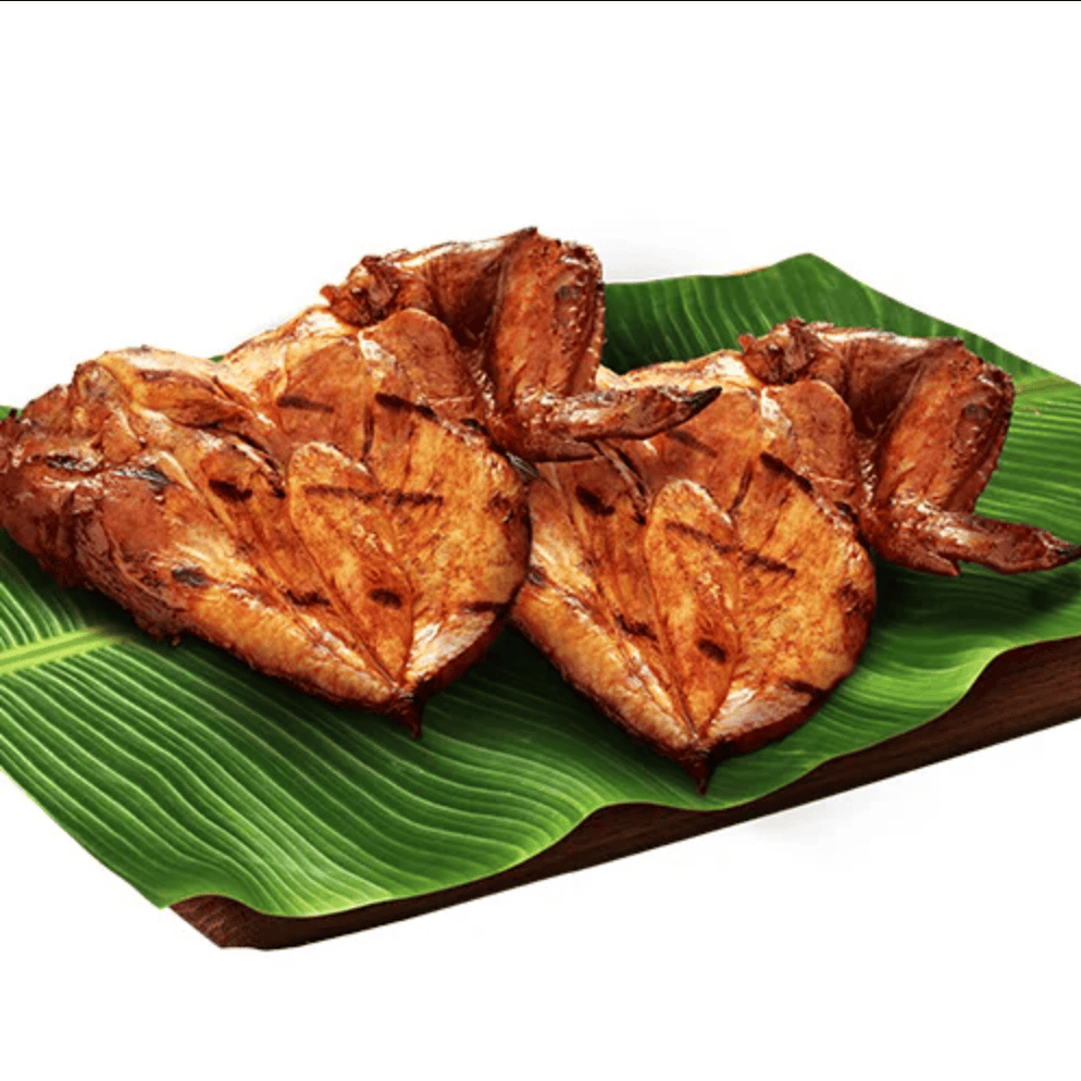 Pecho Large Buddy Size (2pcs Pecho)