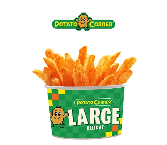 Flavored Fries (Large Size)