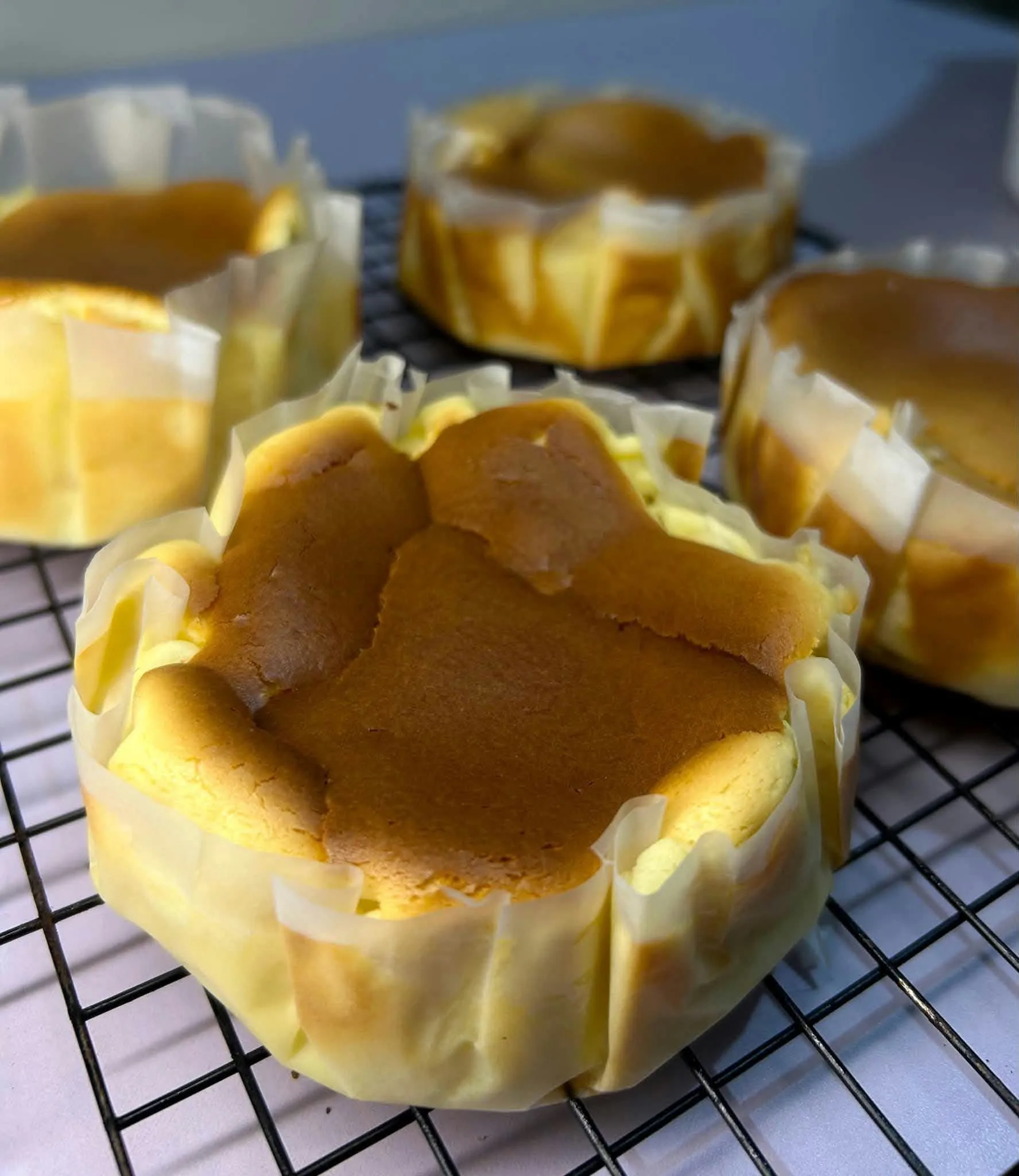 Bento Burnt Basque Cheesecake