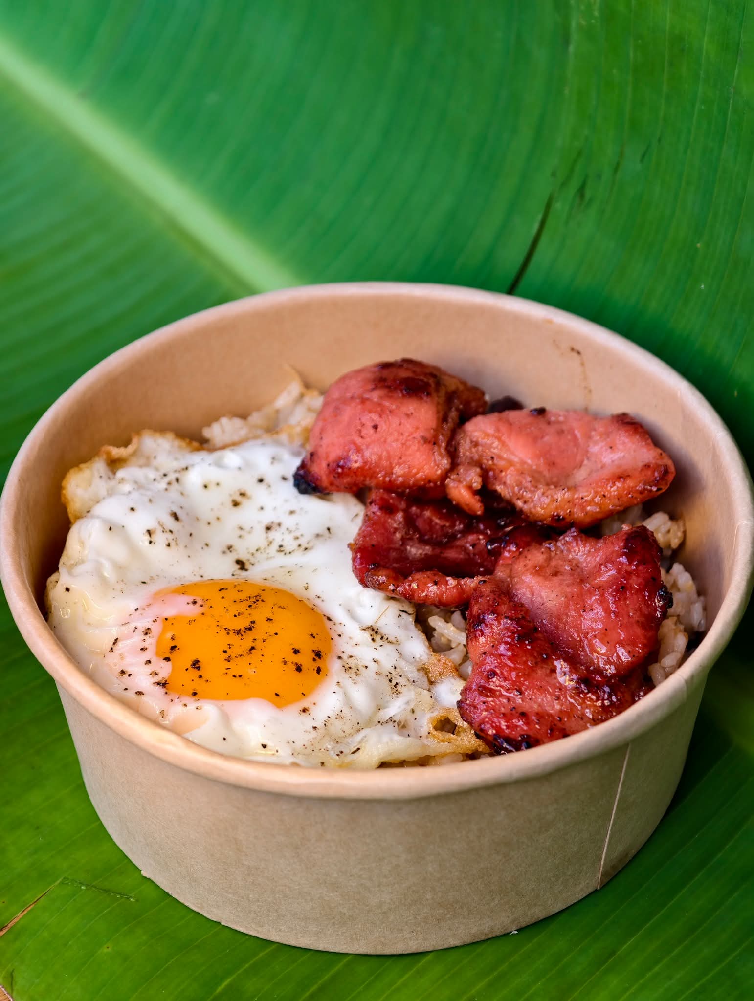 Tocinosilog
